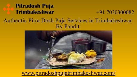 Mumbai, Career Counseling, Authentic Pitra Dosh Puja Services In Trimbakeshwar By Pandit