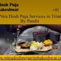 Authentic Pitra Dosh Puja Services In Trimbakeshwar By Pandit