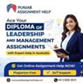 Diploma Of Leadership And Management Assignment Help In Australia | Expert Online Support