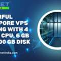Powerful Singapore VPS Hosting With 4 Cores CPU, 6 GB RAM, 100 GB Disk