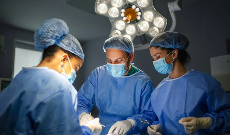 New York, Business, Detransition Legal Support Services Get Help And Guidance Today