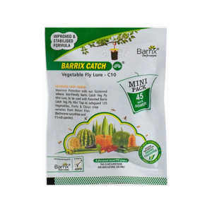 Lucknow, Materials, Buy Insect Traps Online - Shramik Krishi Kendra