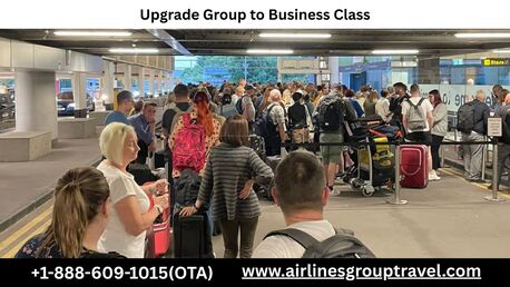 New York, Travel, How Can I Upgrade My Group To Business Class?