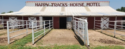 New York, Travel, Horse Motels In Texas