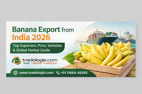 Mumbai, Food, INR 46,  Banana Export From India 2026 | Top Exporters, Price, Varieties & Global Market Guide