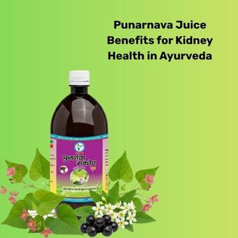 Haryana, Health & Beauty Items, INR 565,  Punarnava Juice Benefits For Kidney Health In Ayurveda