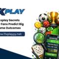 11 Xplay Secrets: How Fans Predict Big Game Outcomes