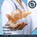 Consult The Liver Transplant Doctor In Mumbai For Advanced Care