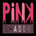 Top-Rated SEO Service In USA For Business Growth | Pink Shadow Media