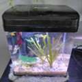 SAR 1,  Urgent Sale Aquarium/ Stone / Substrate