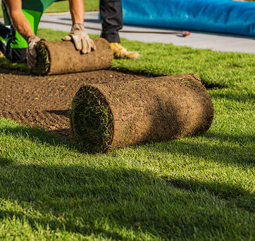 Southampton, Farm/Garden, Grass Turf Installation In Southampton