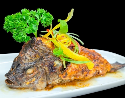 Jeddah, Job Seekers, Indian Head Chef