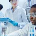 USD 100,  How Do I Find A Reliable Vendor For Research Chemicals