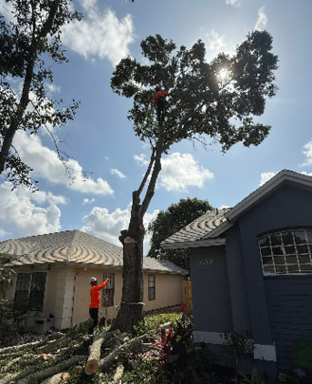 Miami, Farm/Garden, Ranger Tree Care LLC