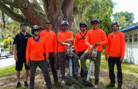 Miami, Farm/Garden, Ranger Tree Care LLC