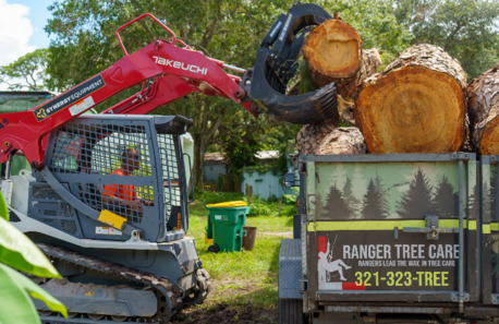 Miami, Farm/Garden, Ranger Tree Care LLC