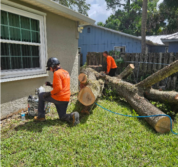 Miami, Farm/Garden, Ranger Tree Care LLC