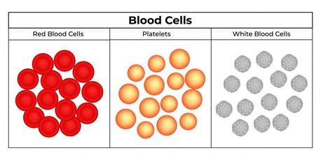 Riyadh, Job Seekers, Laboratory Technician