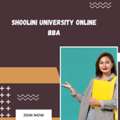 Professional Business Foundations With Shoolini University Online BBA