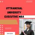 Accelerate Your Career Progression With An Uttaranchal University Executive MBA