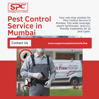 Mumbai, Pest Control, Best Pest Control Service In Mumbai For Cockroach & Termite Problems