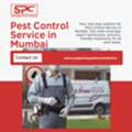 Best Pest Control Service In Mumbai For Cockroach & Termite Problems