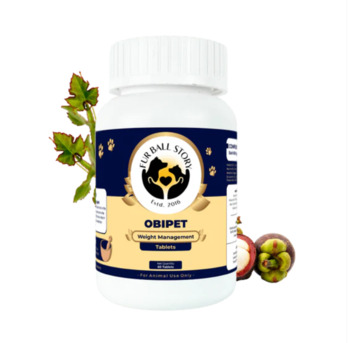 Gurgaon, Pet Sitting, Help Your Dog Stay Fit & Active&mdash;Naturally!