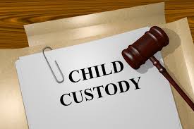 New York, Legal, Child Custody Investigator Saint Cloud MN | CentralPoint Help