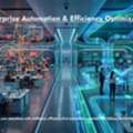 Enterprise Automation & Efficiency Optimization
