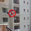 Pigeon Safety Nets In Chennai