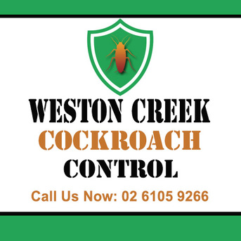 Sydney, Business, Weston Creek Cockroach Control