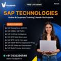 Boost Your Career With Top SAP Technologies Training