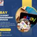 Affordable EBay Account Management Services For Sellers