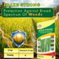 INR 400,  Boost Crop Yield With Best Herbicides For Farming | ERAZE STRONG