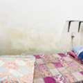 SAR 480/month,  Bedspace Available Fro South Indian