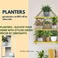 INR 2600,  Planters &ndash; Stylish Green D&eacute;cor By Vibecrafts