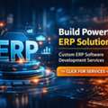 Custom ERP Software Development Services