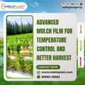 High Quality Mulch Film For Improved Harvest And Soil Protection