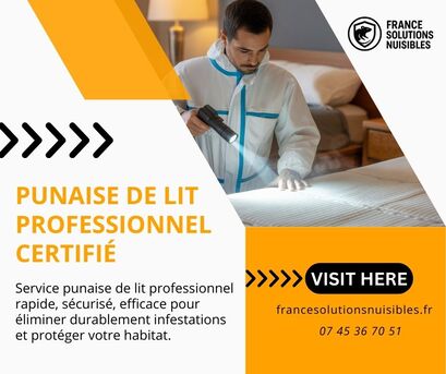 Paris, Pest Control, D?ratisation ?le-de-France &ndash; Service Rapide Et Efficace