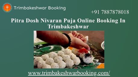 Mumbai, Career Counseling, Pitra Dosh Nivaran Puja Online Booking In Trimbakeshwar
