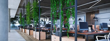 London, Interior Design, Biophilic Office Design UK | Harleen Mclean Sustainable Workspaces