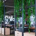 Biophilic Office Design UK | Harleen Mclean Sustainable Workspaces