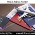 What Is The Redress Number For Travelers?