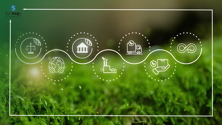 Dubai, Business, Smart ESG Supply Chain Assessment For Global Supplier Networks