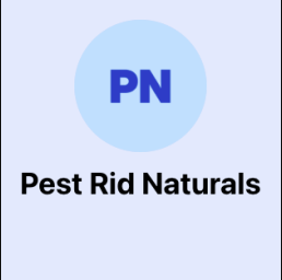 Chennai, Pest Control, Affordable Cockroach Control Chennai | Expert Services