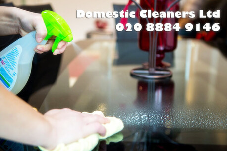 London, Cleaning, Domestic Cleaning Services In London