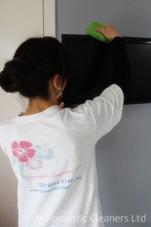 London, Cleaning, Domestic Cleaning Services In London