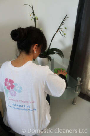 London, Cleaning, Domestic Cleaning Services In London