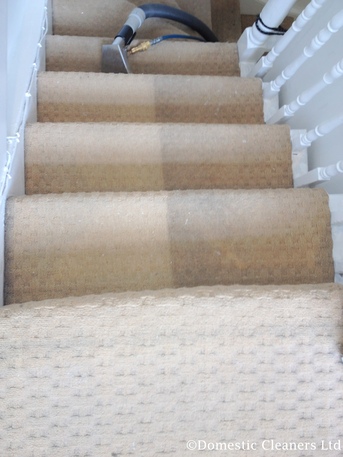 London, Cleaning, Domestic Cleaning Services In London