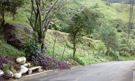 San José, Farm & Garden, Usd 299444,  Massive Mountain Estate For Sale. Salitral Santa Ana Costa Rica.